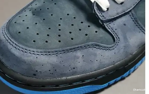 Nike Blue Lobster Low - Dunk 313170-342 SB 0525